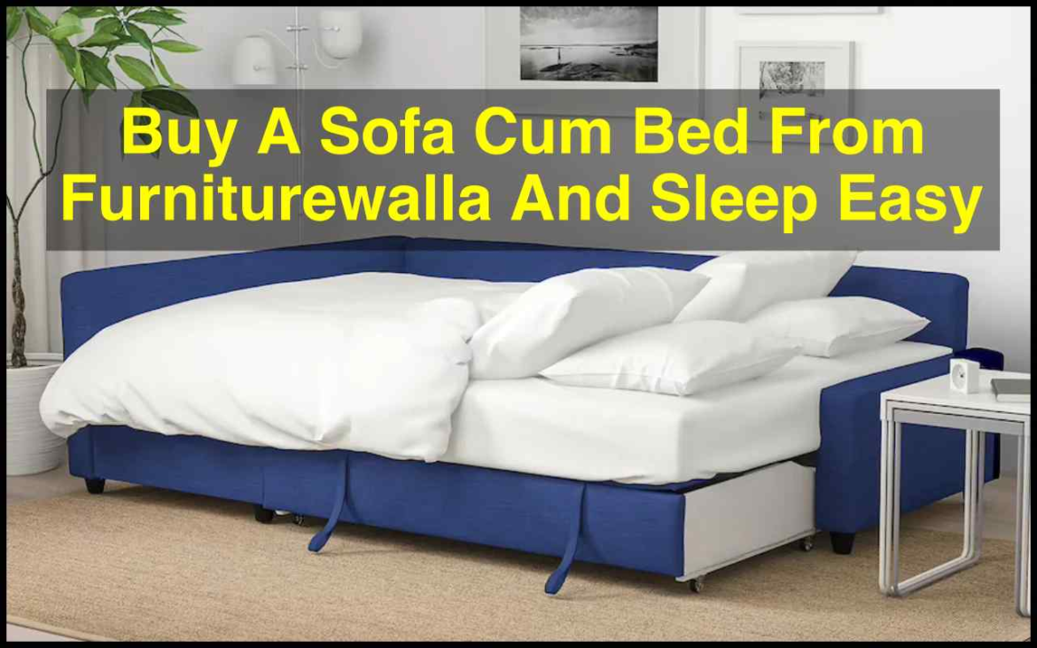 sofa cum bed