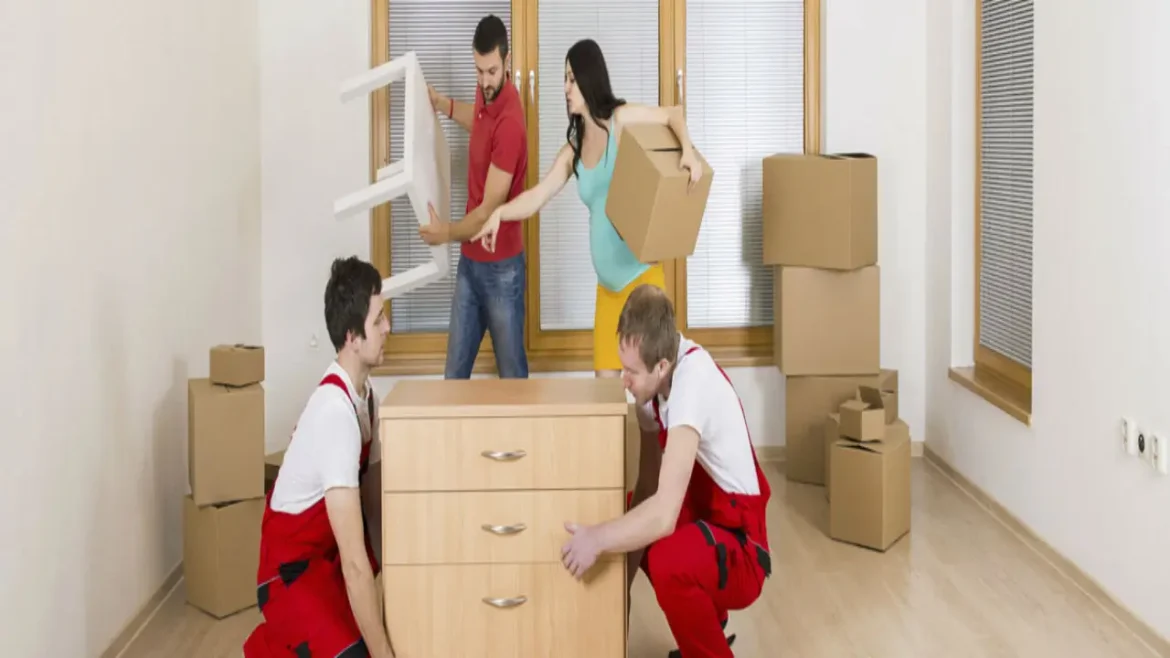 removalists from Sydney to Canberra